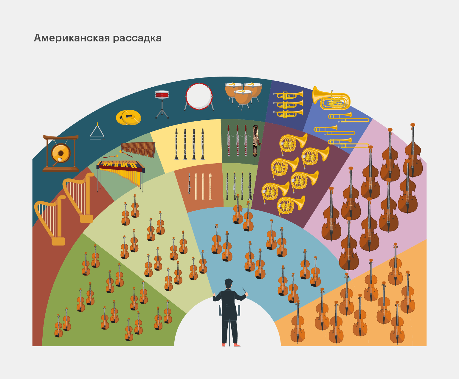 Симфонический оркестр: какие бывают виды, какие инструменты входят, зачем  нужен дирижёр / Skillbox Media