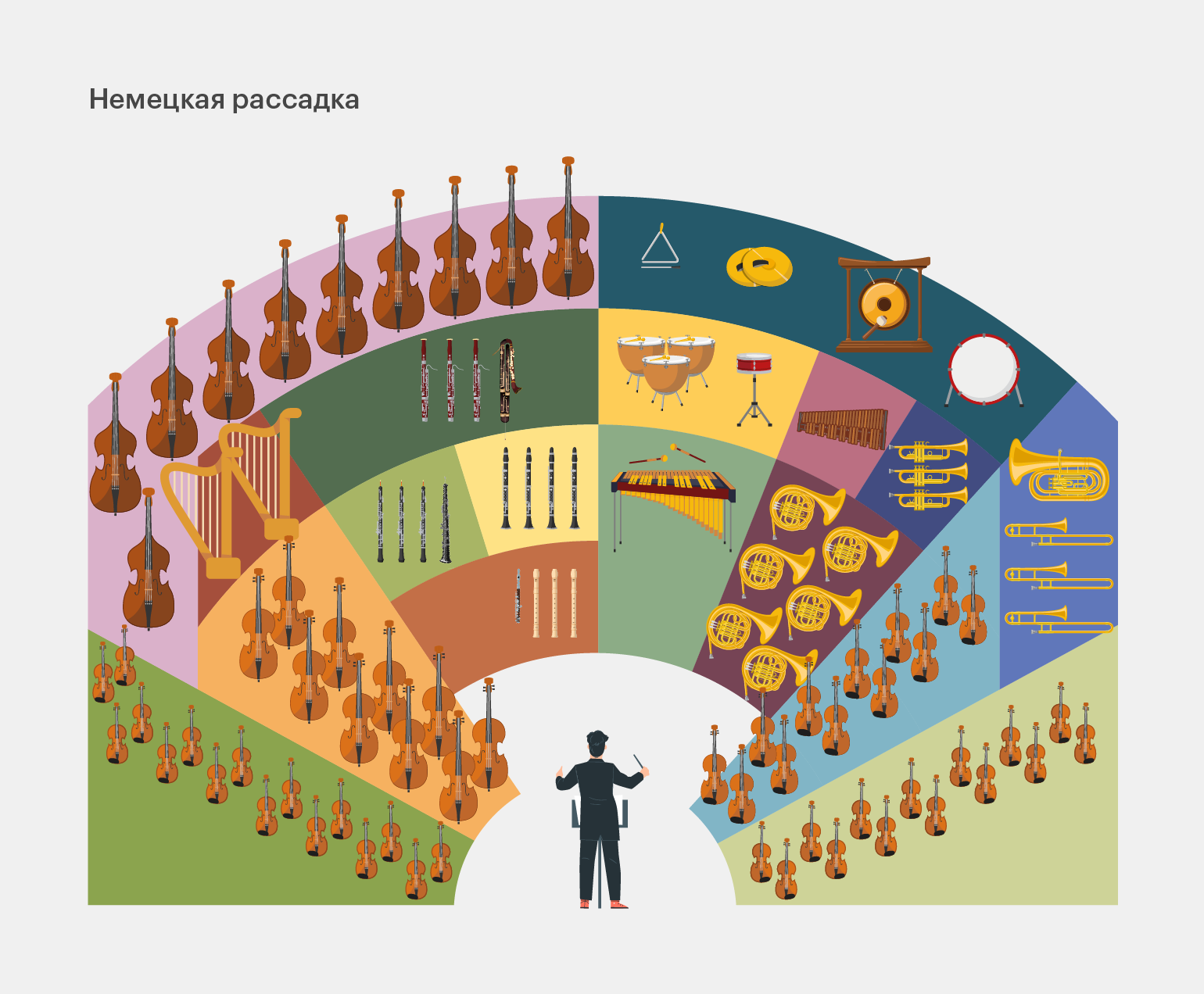 Симфонический оркестр: какие бывают виды, какие инструменты входят, зачем  нужен дирижёр / Skillbox Media