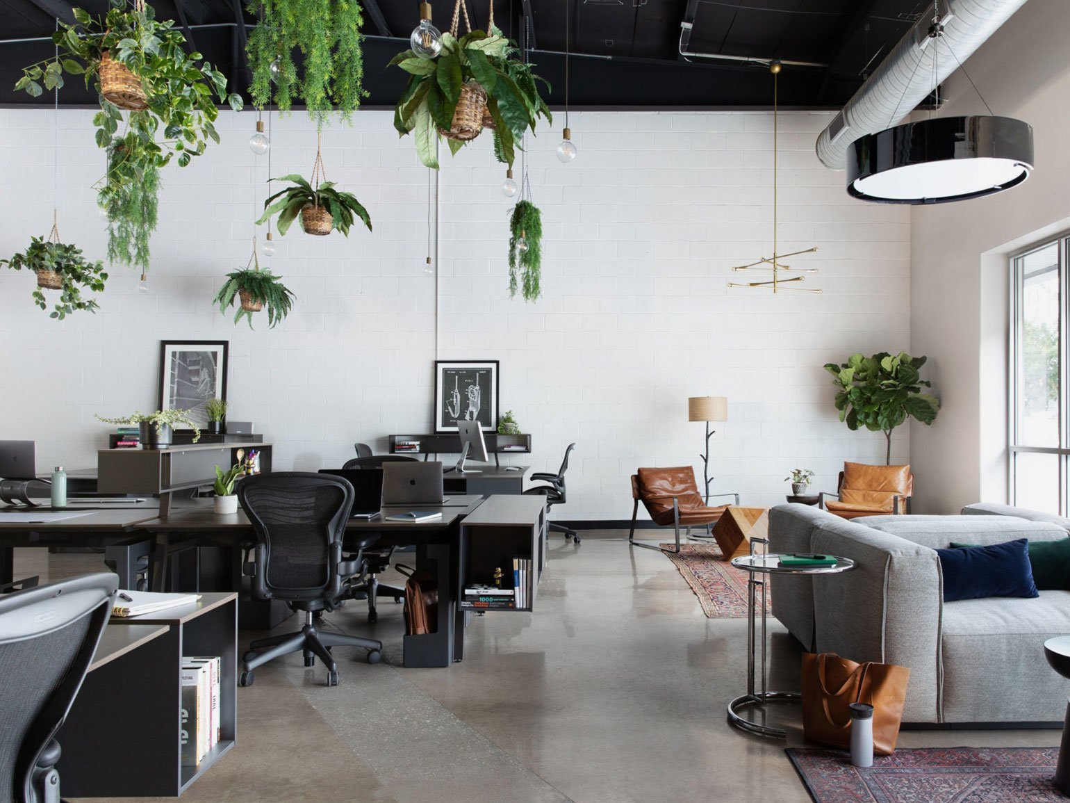 Современный офис в стиле лофт с креслами Herman Miller, растениями, коврами, диваном и кожаными креслами