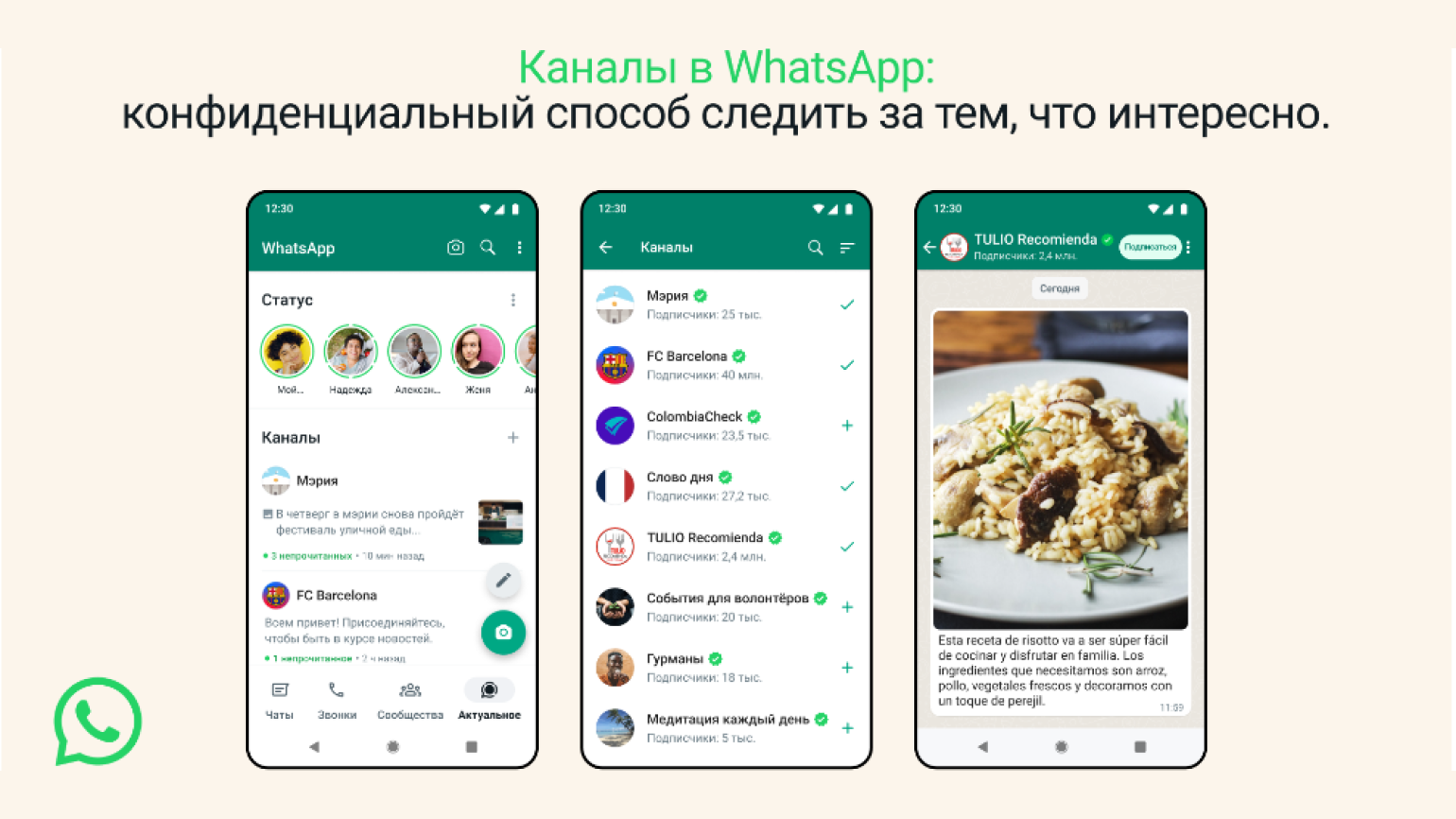 Whatsapp-каналы: как они работают и когда появятся / Skillbox Media