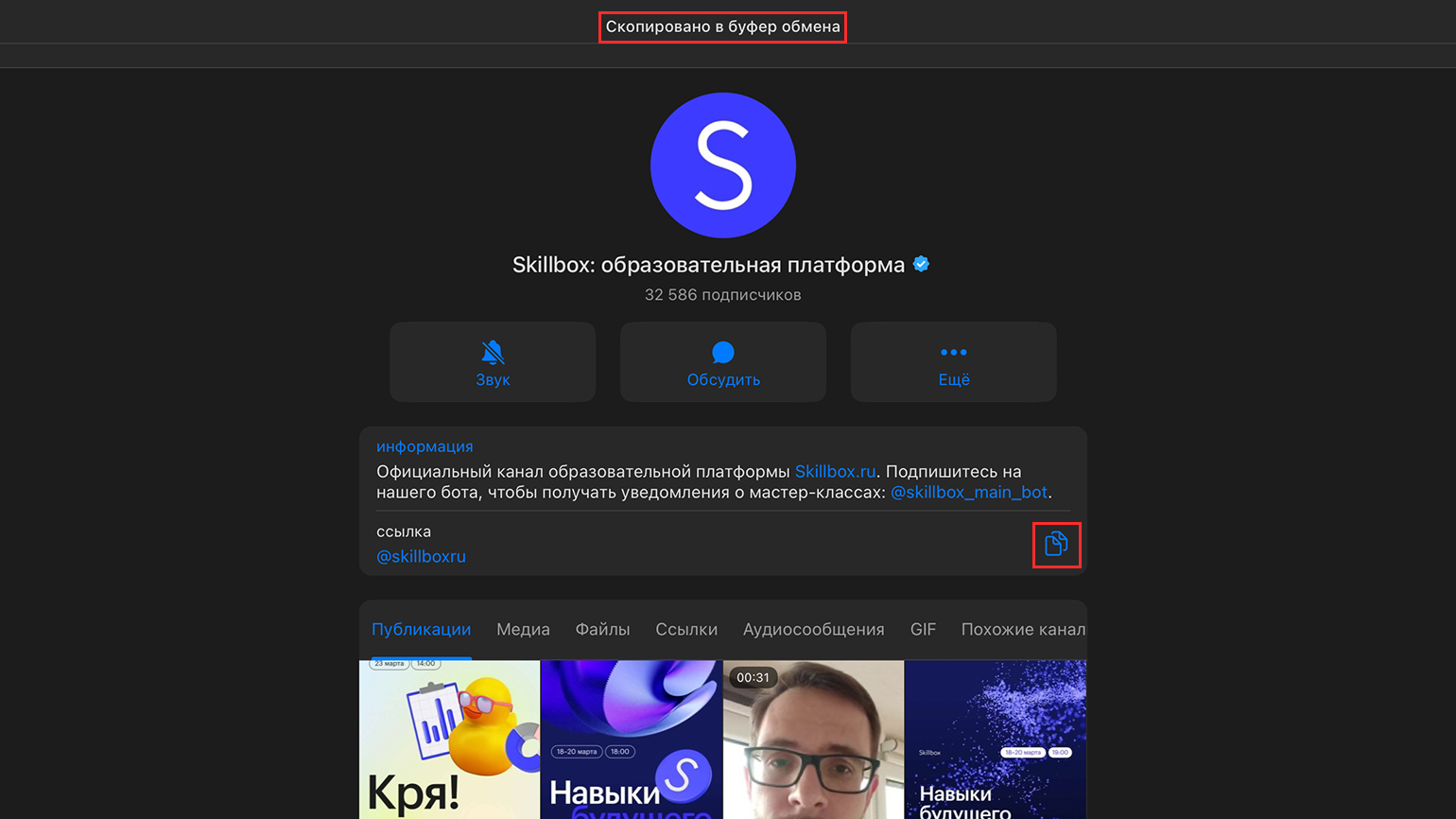 Как поделиться ссылкой на аккаунт или канал в Telegram / Skillbox Media