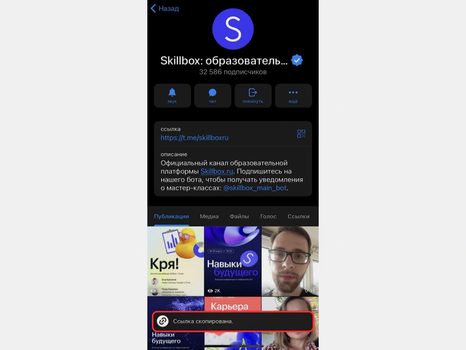 Как поделиться ссылкой на аккаунт или канал в Telegram / Skillbox Media