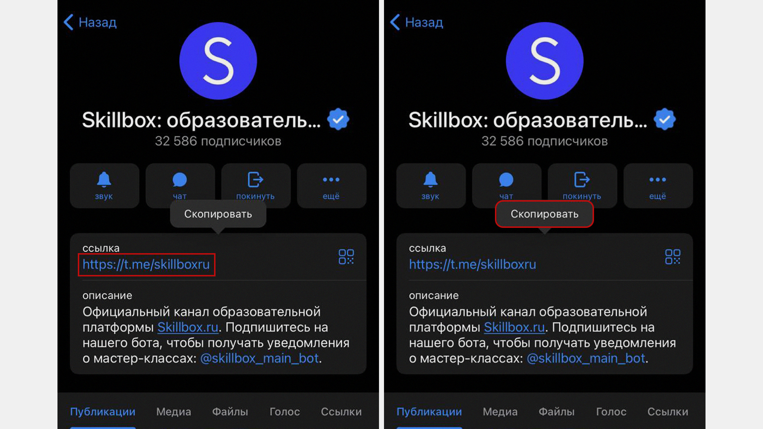 Как поделиться ссылкой на аккаунт или канал в Telegram / Skillbox Media