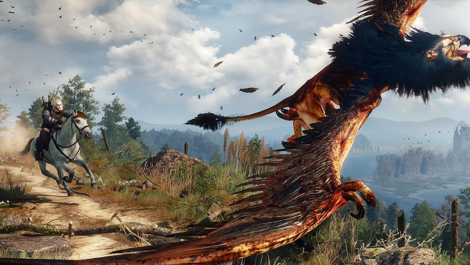 Witcher 3 wild hunt gog steam фото 114