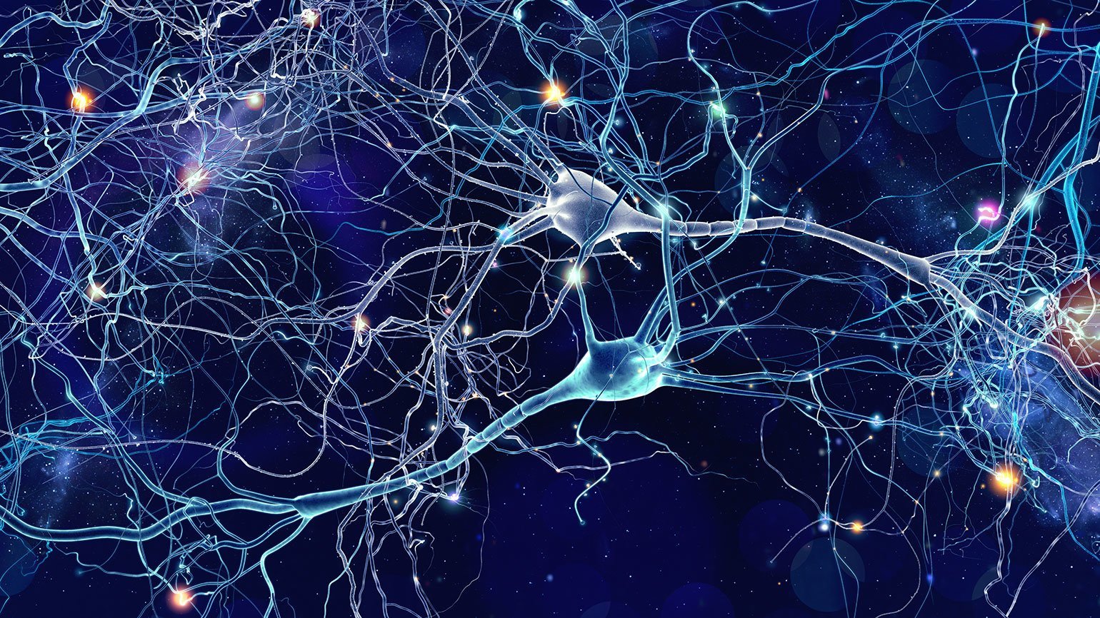 Синапс в нейронных сетях это. Нейронные клетки головного мозга. Нейрон клетка головного мозга. Нервная система человека Нейрон.