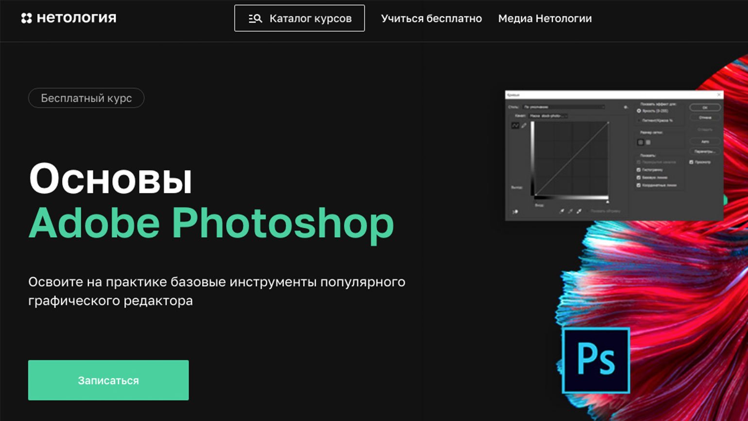 25 курсов: как научиться работать с Photoshop / Skillbox Media