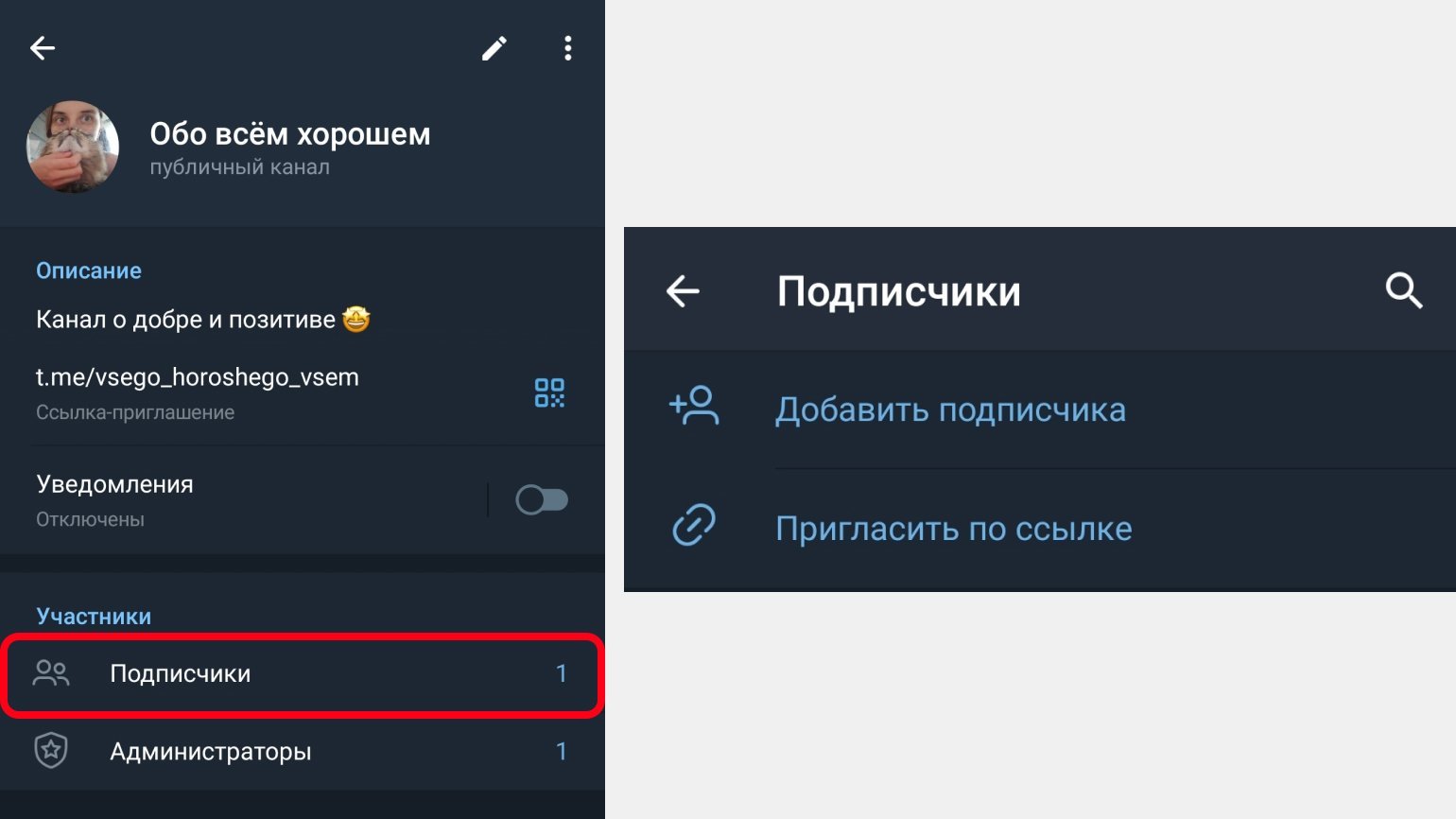 Как сделать в телеграмме на русском языке фото 115