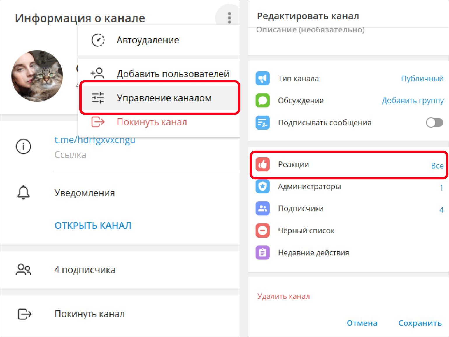 Как сделать телеграмм на русском языке меню фото 22