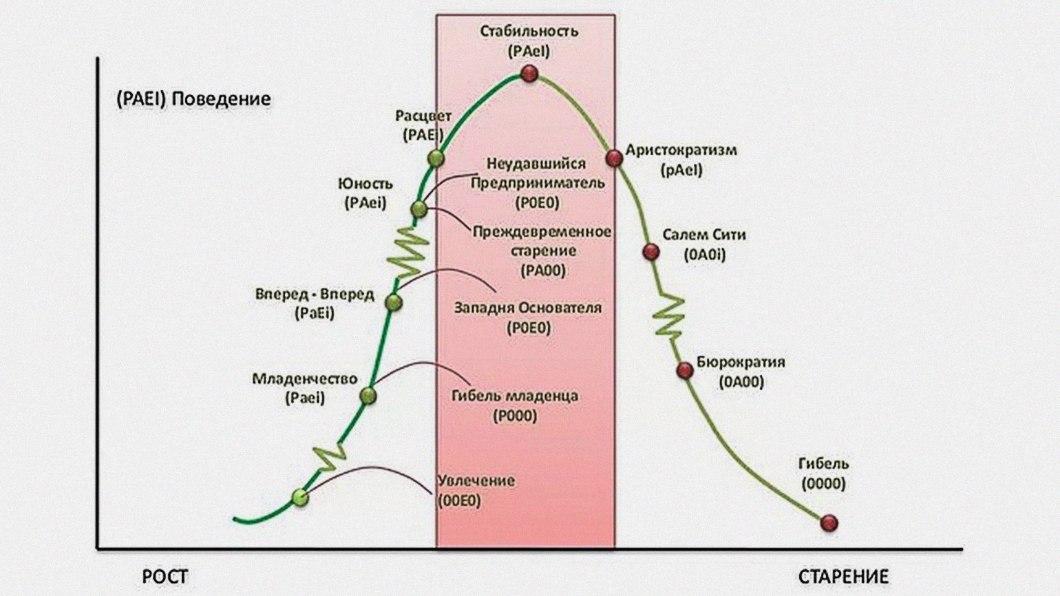 Этапы роста организации. Стадии жизненного цикла компании по Адизесу. Жизненный цикл компании Адизес. Ицхак Адизес жизненный цикл компании. Модель жизненного цикла организации Ицхака Адизеса.
