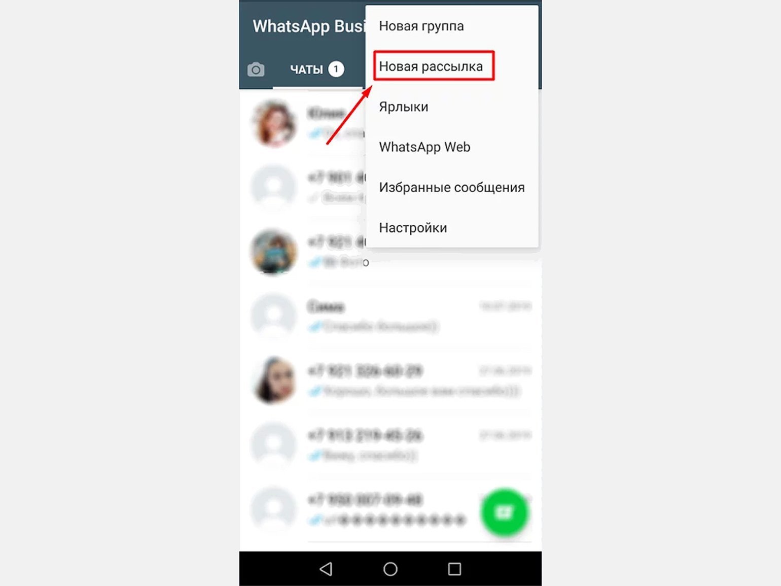 WhatsApp для бизнеса / Skillbox Media