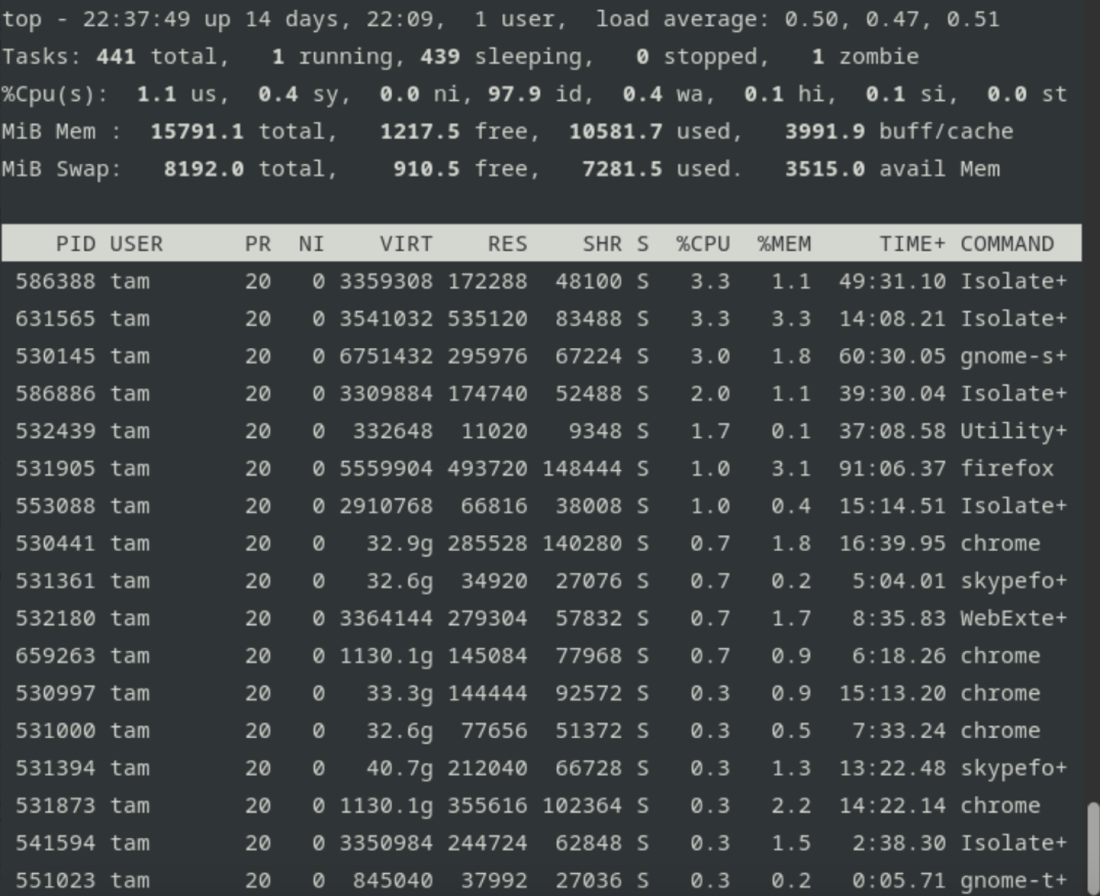 Гайд по командам Linux-терминала с примерами: основные возможности командной  строки / Skillbox Media