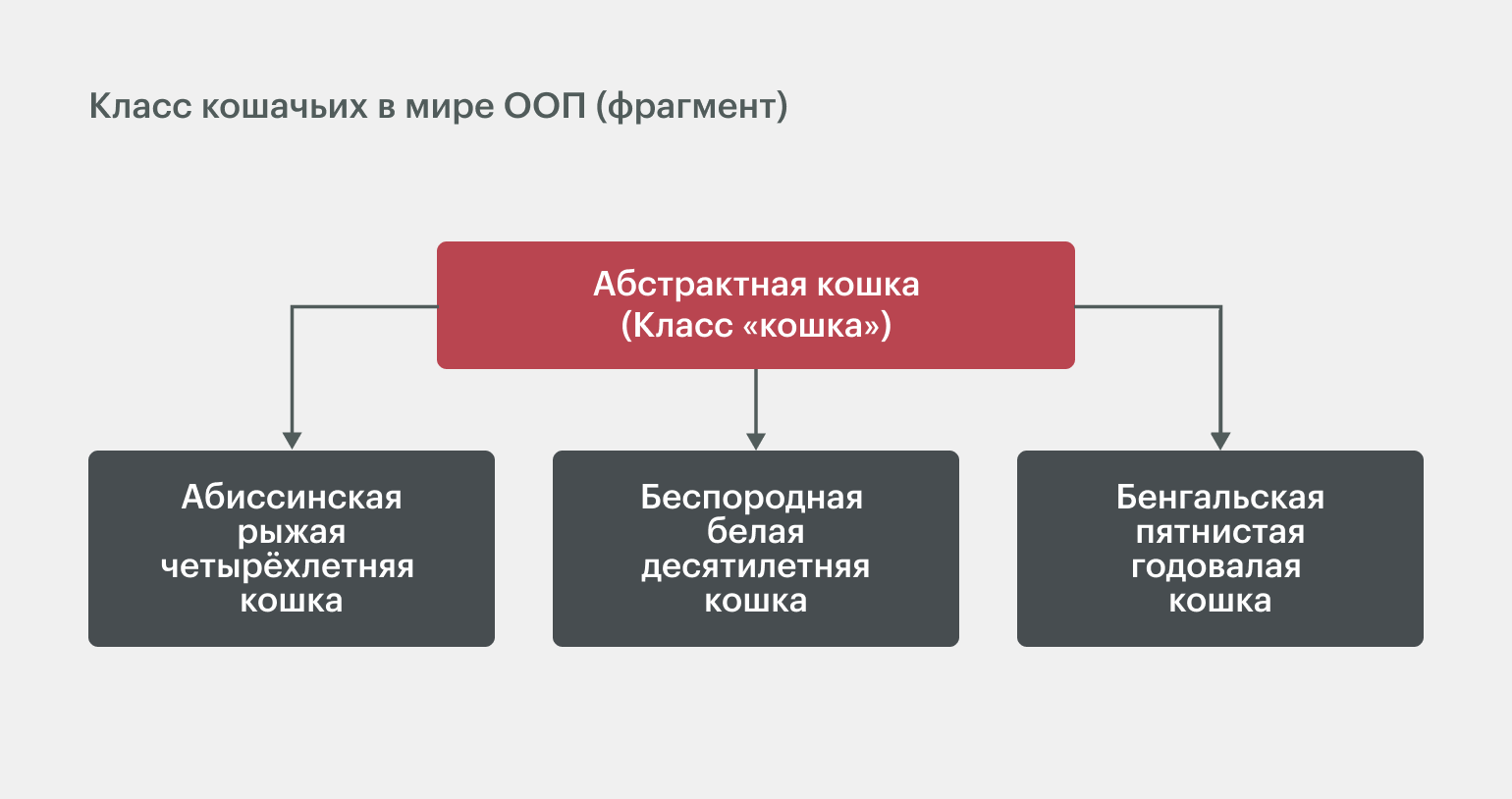 ООП в Python: принципы объектно-ориентированного программирования /  Skillbox Media